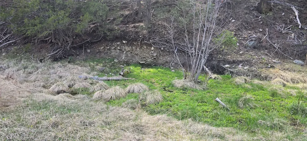 1 Tract, Bull Elk Drummond MT 59832