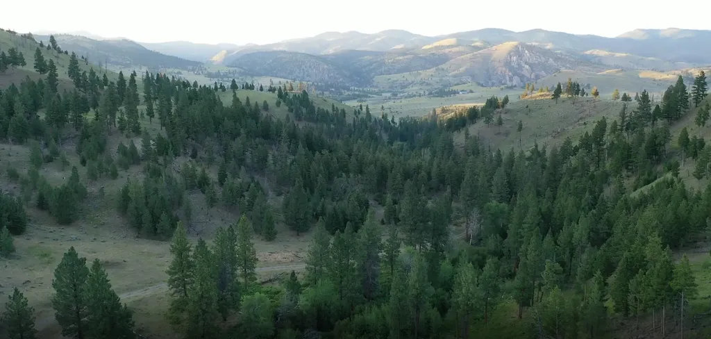 1 Tract, Bull Elk Drummond MT 59832