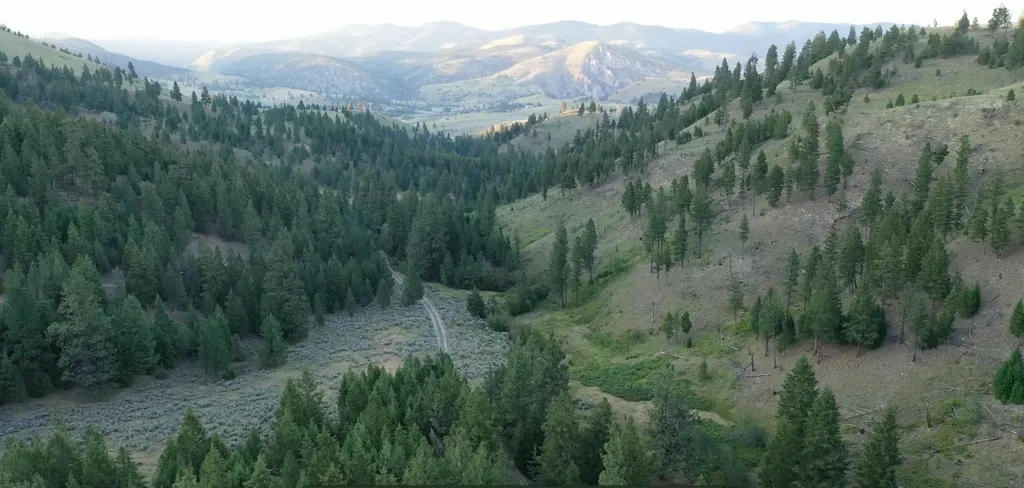 1 Tract, Bull Elk Drummond MT 59832