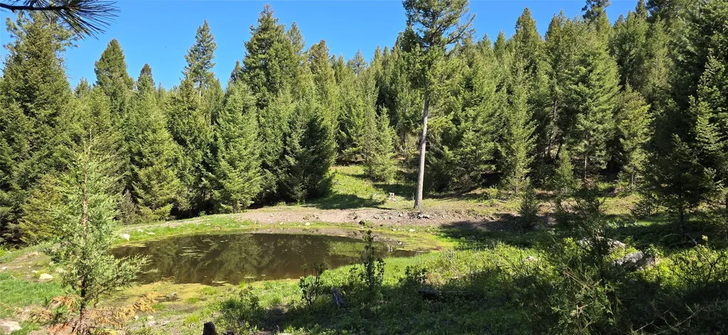 4 Tract, Bull Elk Drummond MT 59832