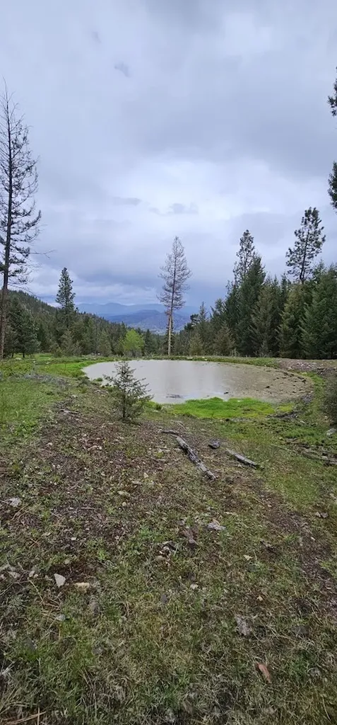 4 Tract, Bull Elk Drummond MT 59832