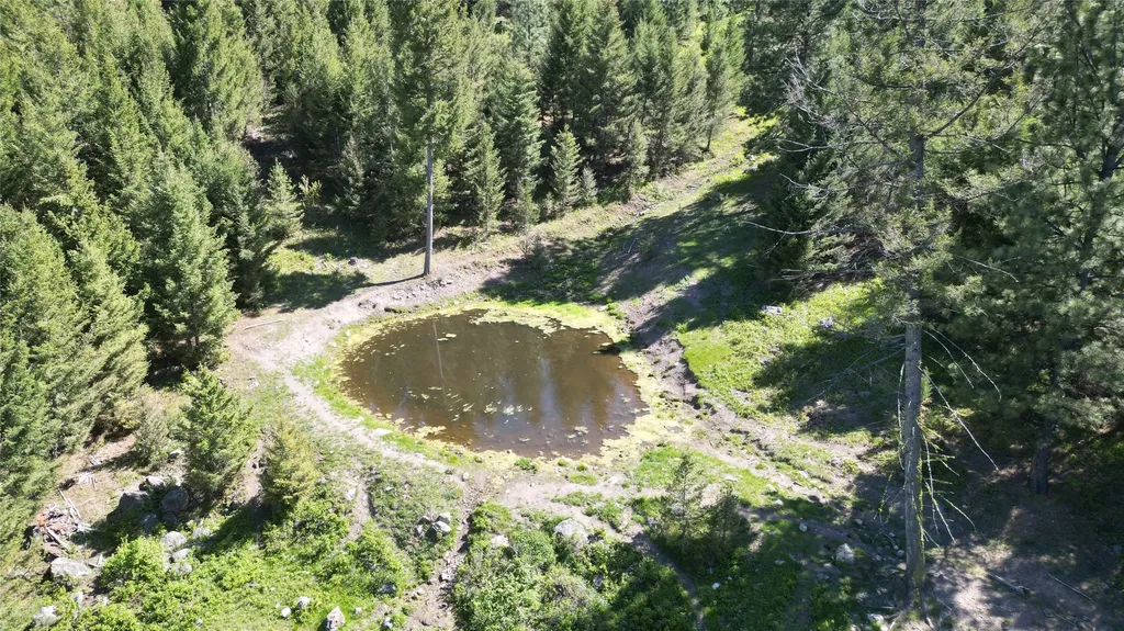 4 Tract, Bull Elk Drummond MT 59832