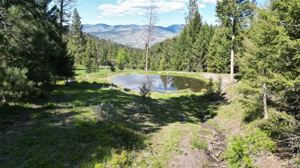 4 Tract, Bull Elk Drummond MT 59832