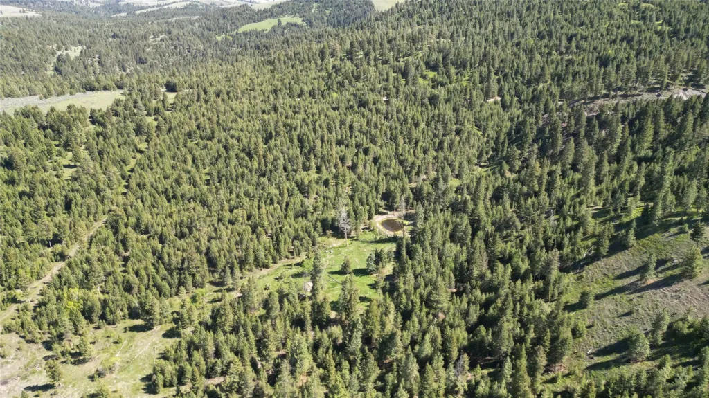 4 Tract, Bull Elk Drummond MT 59832