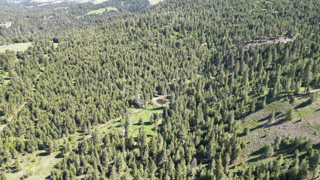 4 Tract, Bull Elk Drummond MT 59832