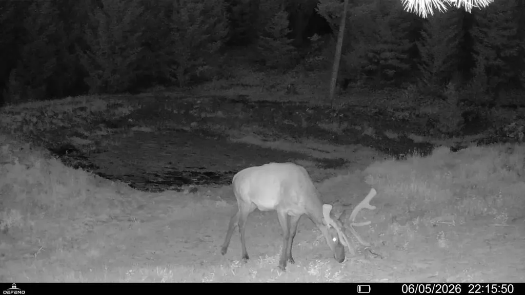 4 Tract, Bull Elk Drummond MT 59832