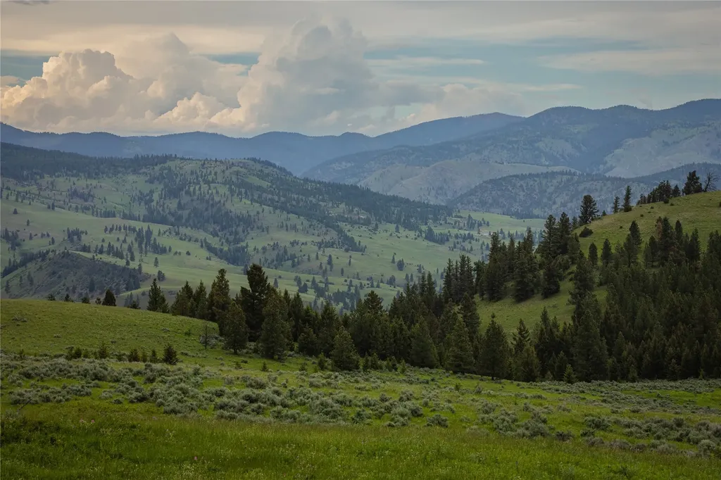 4 Tract, Bull Elk Drummond MT 59832