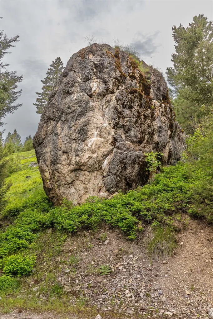 4 Tract, Bull Elk Drummond MT 59832