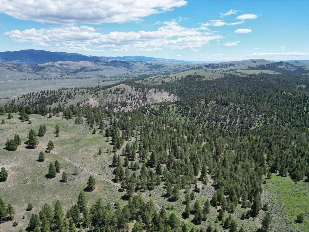 3 Tract, Bull Elk Drummond MT 59832