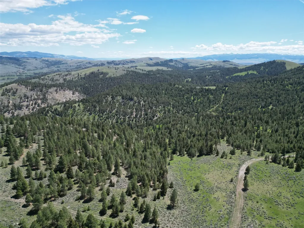 3 Tract, Bull Elk Drummond MT 59832