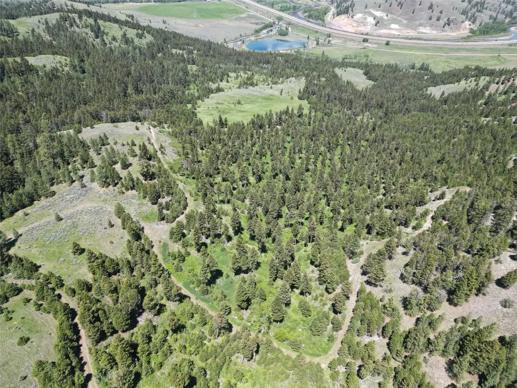3 Tract, Bull Elk Drummond MT 59832