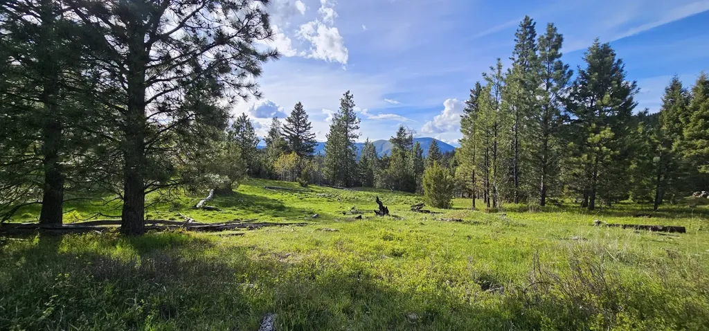 7 Tract, Bull Elk Drummond MT 59832