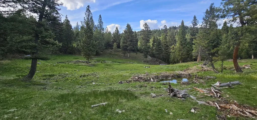 7 Tract, Bull Elk Drummond MT 59832