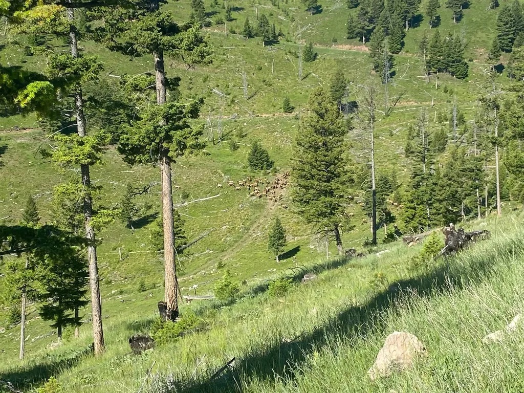 Tract 11,12 Garnet Range Drummond MT 59832
