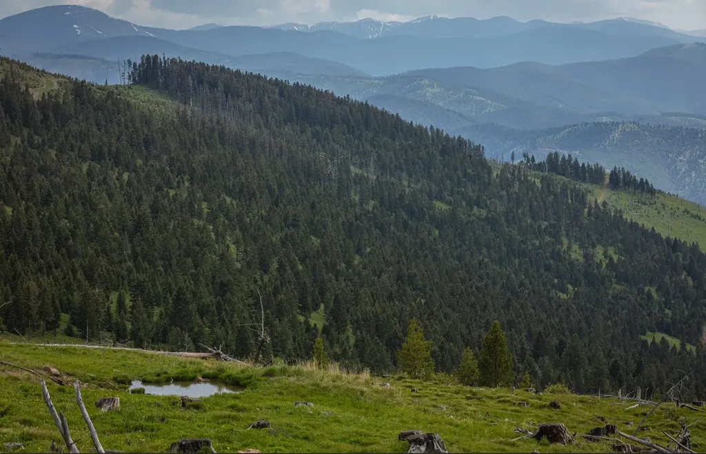 Tract 1,2,3,16 Garnet Range Drummond MT 59832