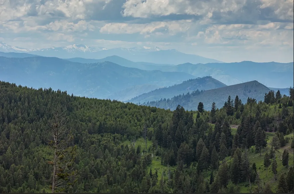 Tract 1,2,3,16 Garnet Range Drummond MT 59832