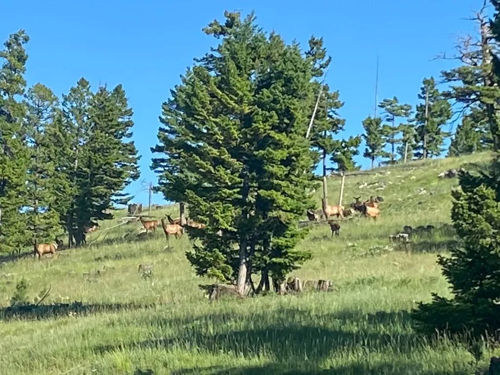 216 Cramer Springs Trail Clinton MT 59825