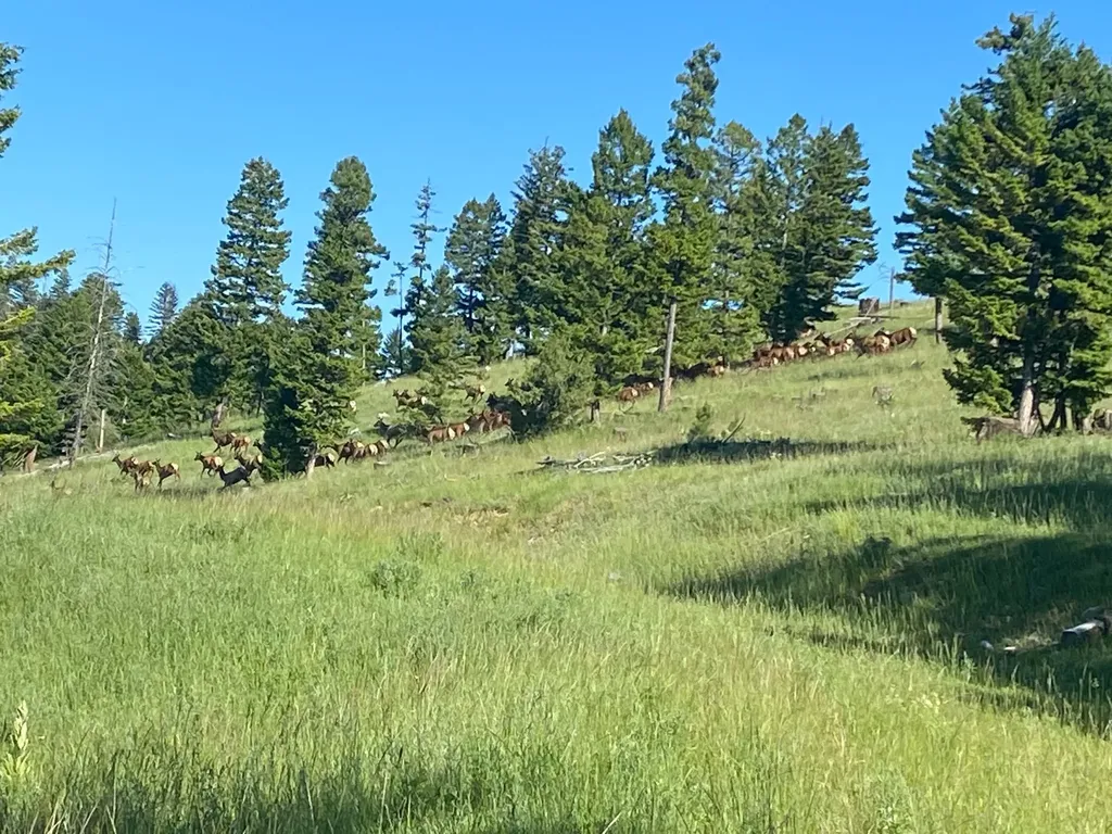 216 Cramer Springs Trail Clinton MT 59825