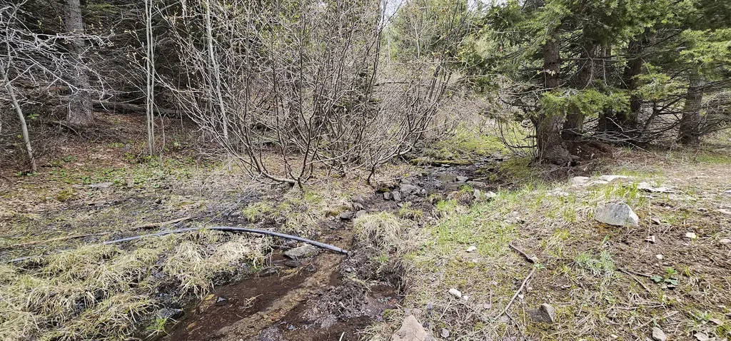 13 Tract, Garnet Range Drummond MT 59832