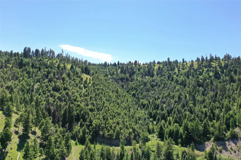13 Tract, Garnet Range Drummond MT 59832