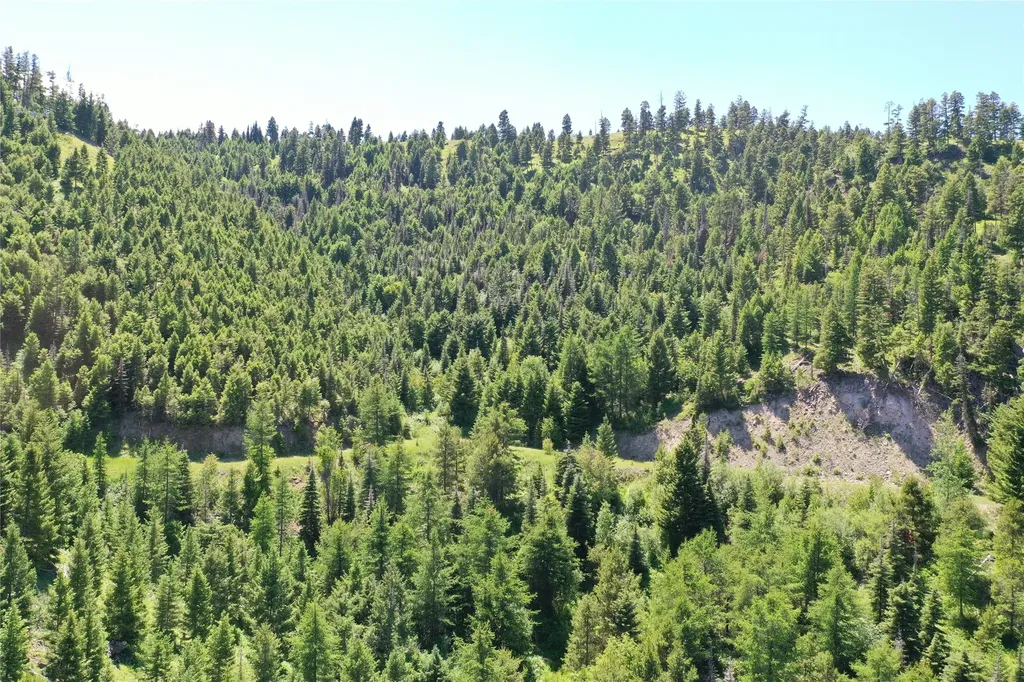 13 Tract, Garnet Range Drummond MT 59832