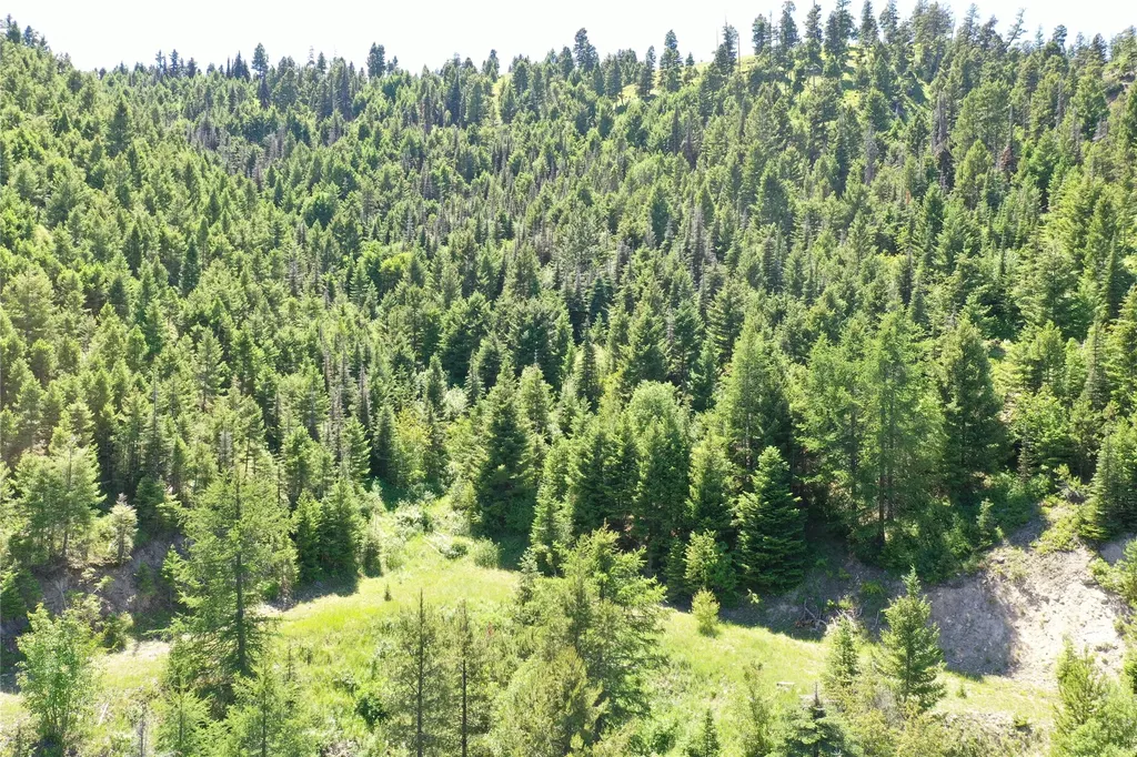 13 Tract, Garnet Range Drummond MT 59832
