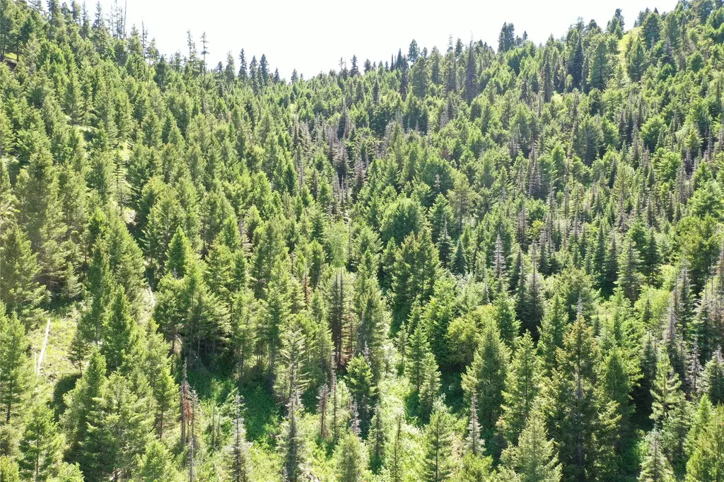 13 Tract, Garnet Range Drummond MT 59832