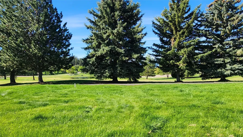 108 Golden Bear Drive Bigfork MT 59911