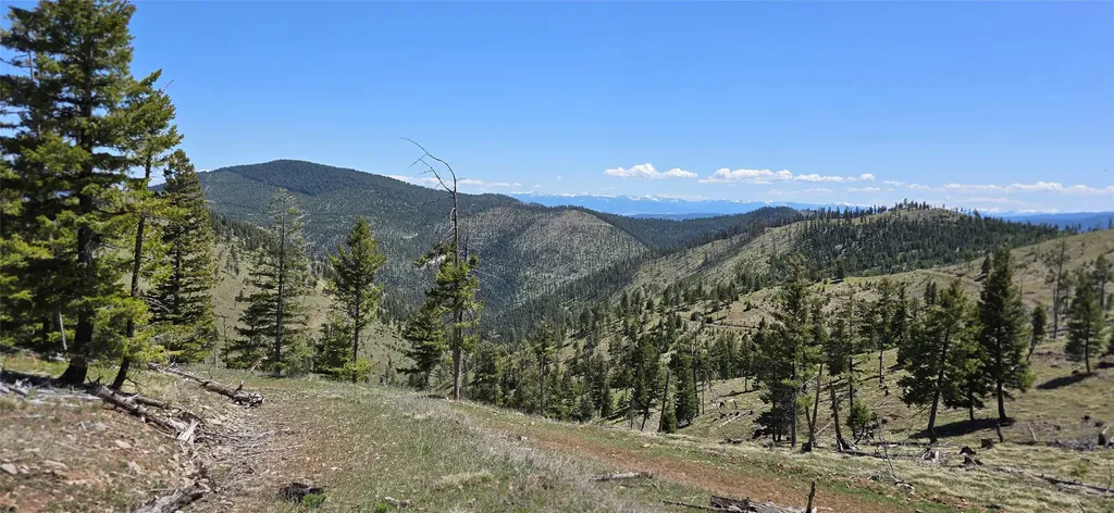 16 Tract, Garnet Range Drummond MT 59825