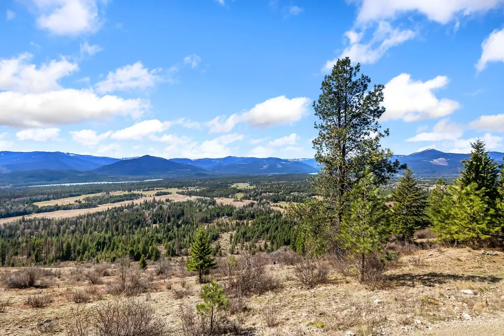 42 Twenty Peak Gulch Road Trout Creek MT 59874