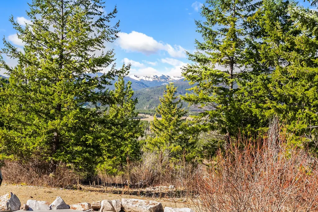 42 Twenty Peak Gulch Road Trout Creek MT 59874