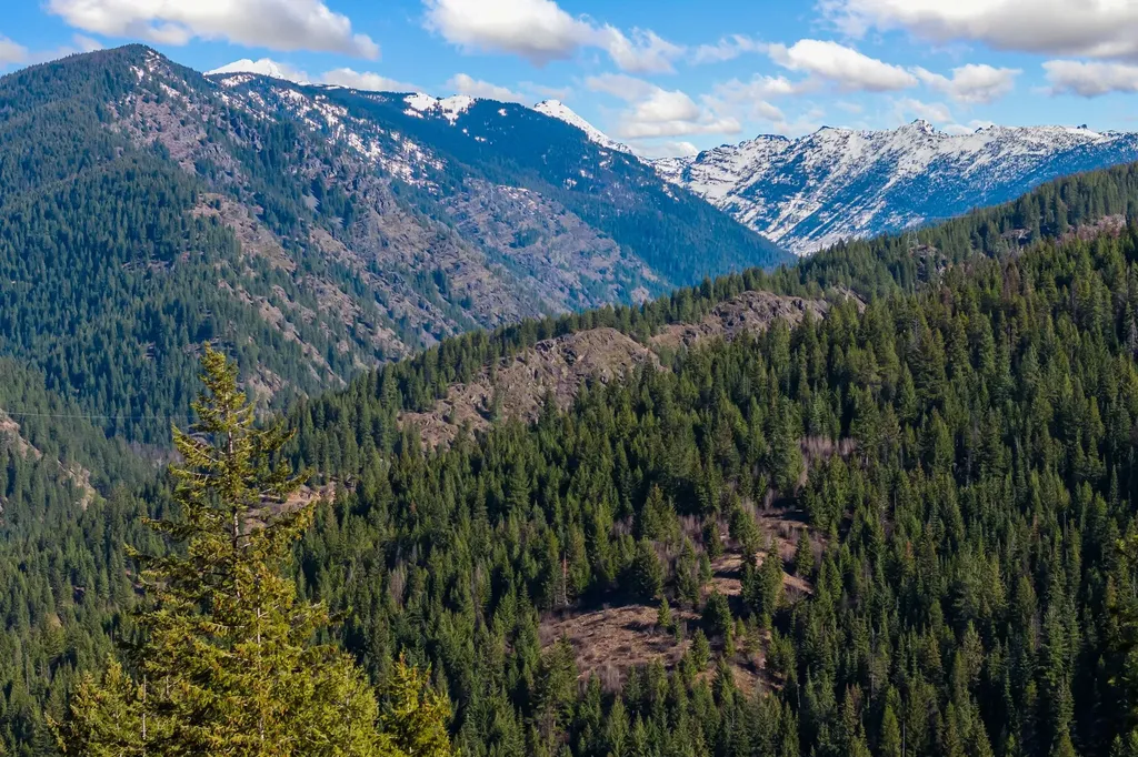 42 Twenty Peak Gulch Road Trout Creek MT 59874