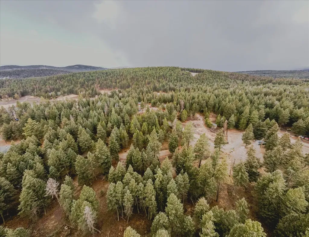 65 Moose Farm Road Fortine MT 59918