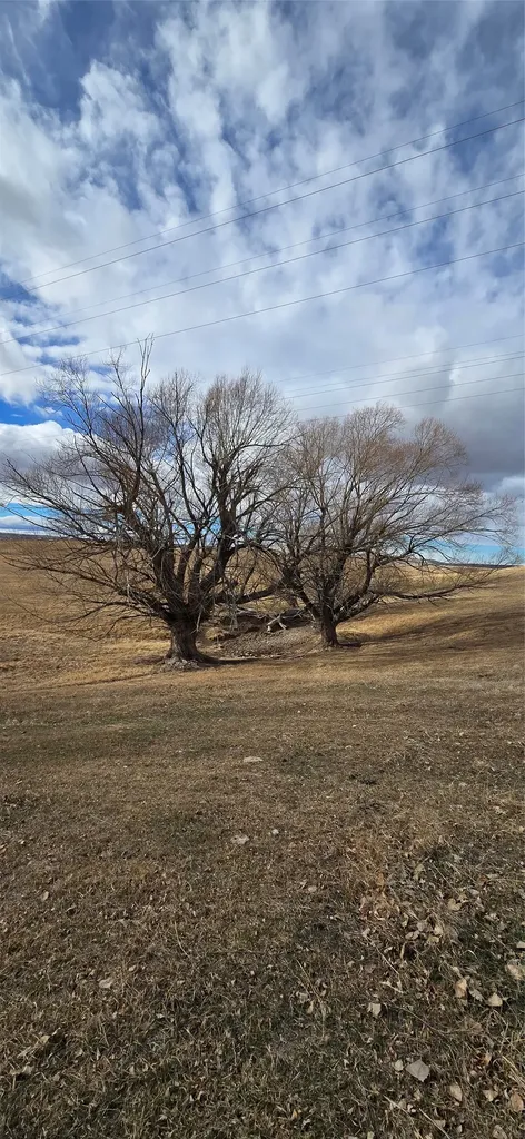 205 Ross Road Great Falls MT 59405