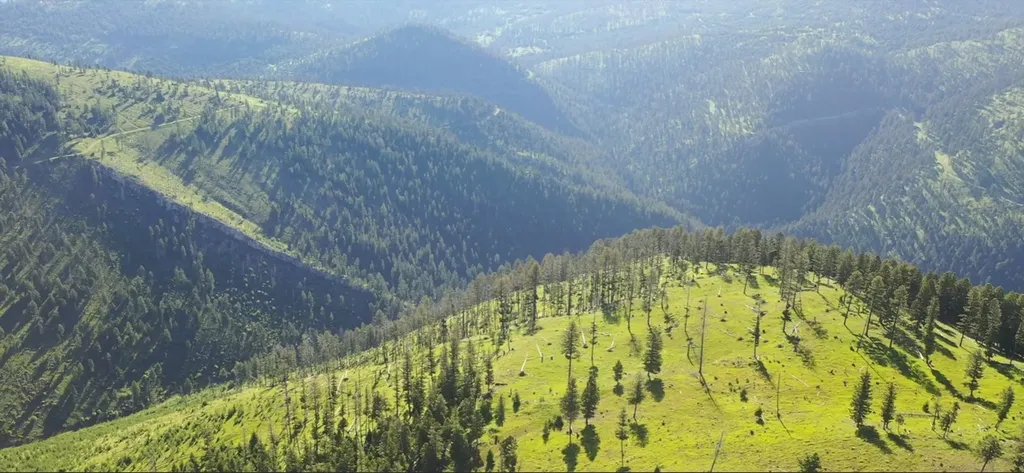 5 Tract, Garnet Range Drummond MT 59825
