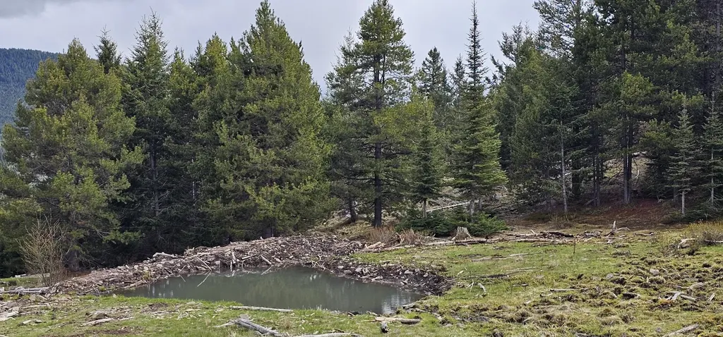 10 Tract, Garnet Range Drummond MT 59832