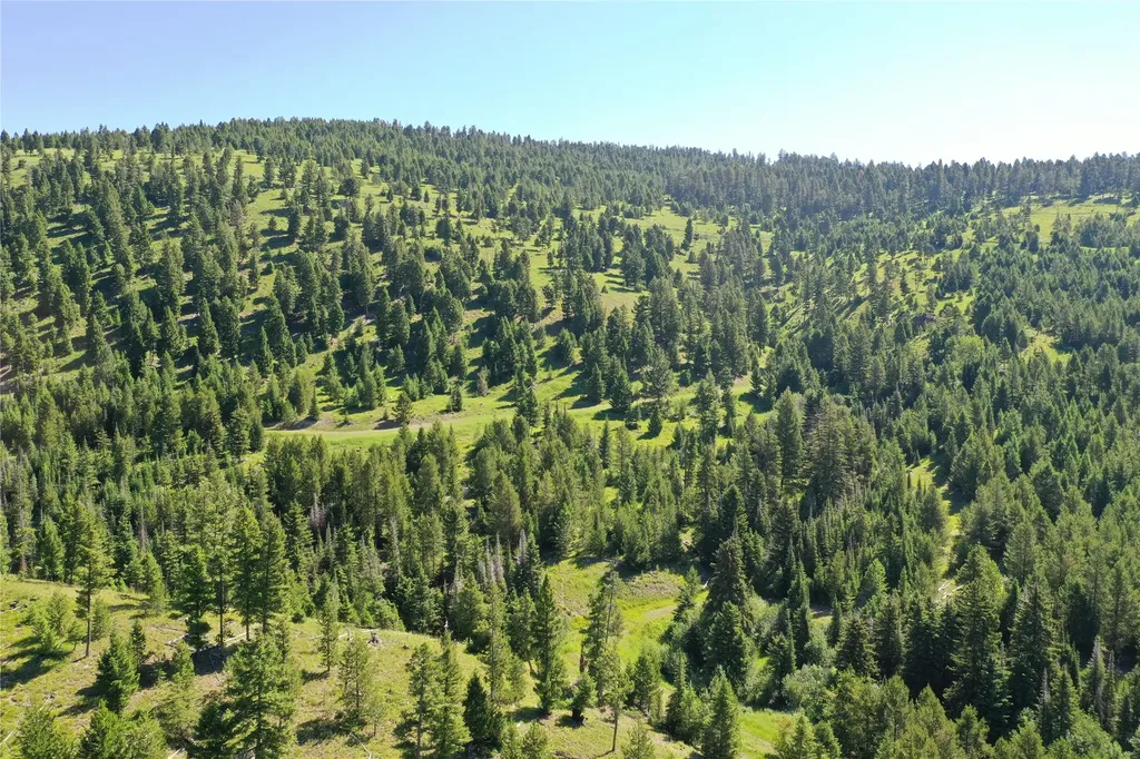 6 Tract, Garnet Range Drummond MT 59825