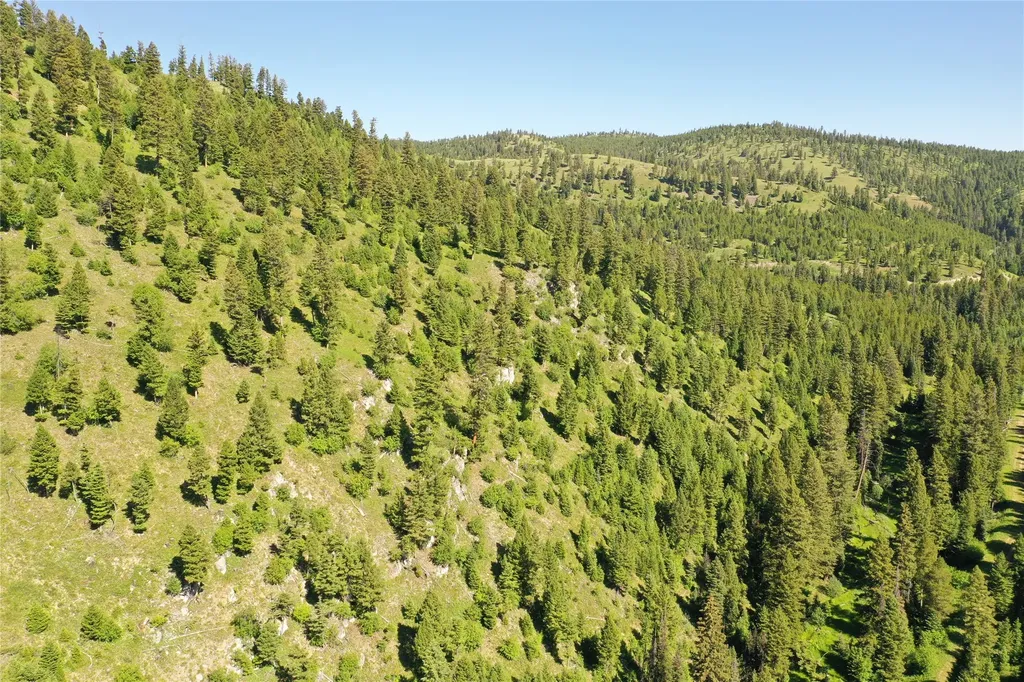 6 Tract, Garnet Range Drummond MT 59825