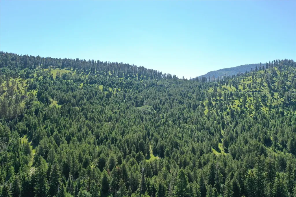 6 Tract, Garnet Range Drummond MT 59825