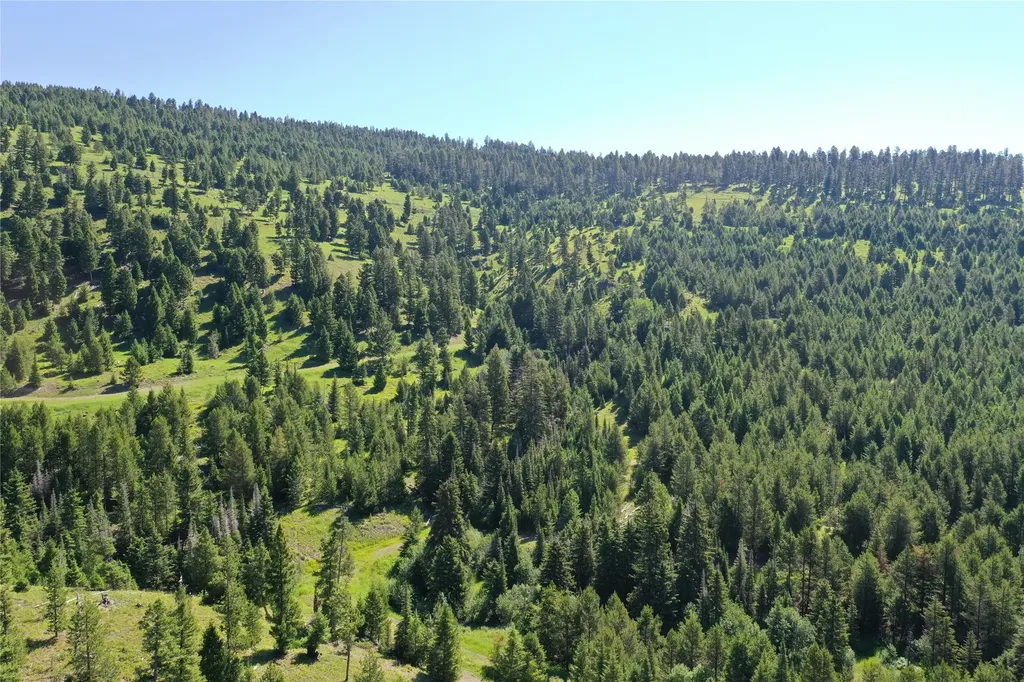 6 Tract, Garnet Range Drummond MT 59825