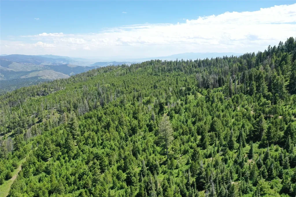 7 Tract, Garnet Range Drummond MT 59832
