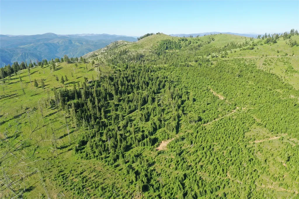 2 Tract, Garnet Range Drummond MT 59825