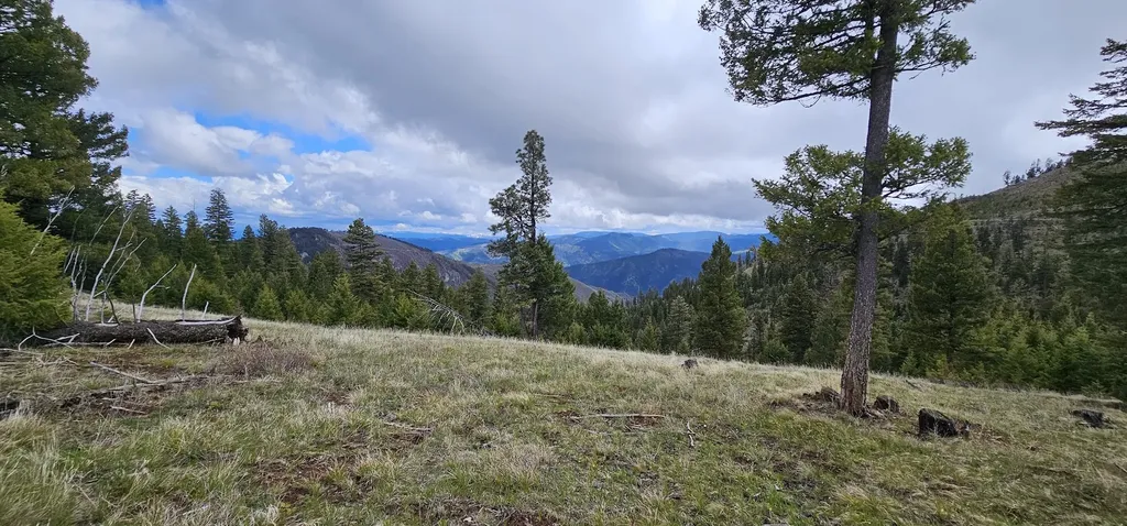 2 Tract, Garnet Range Drummond MT 59825