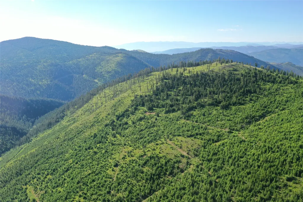 2 Tract, Garnet Range Drummond MT 59825