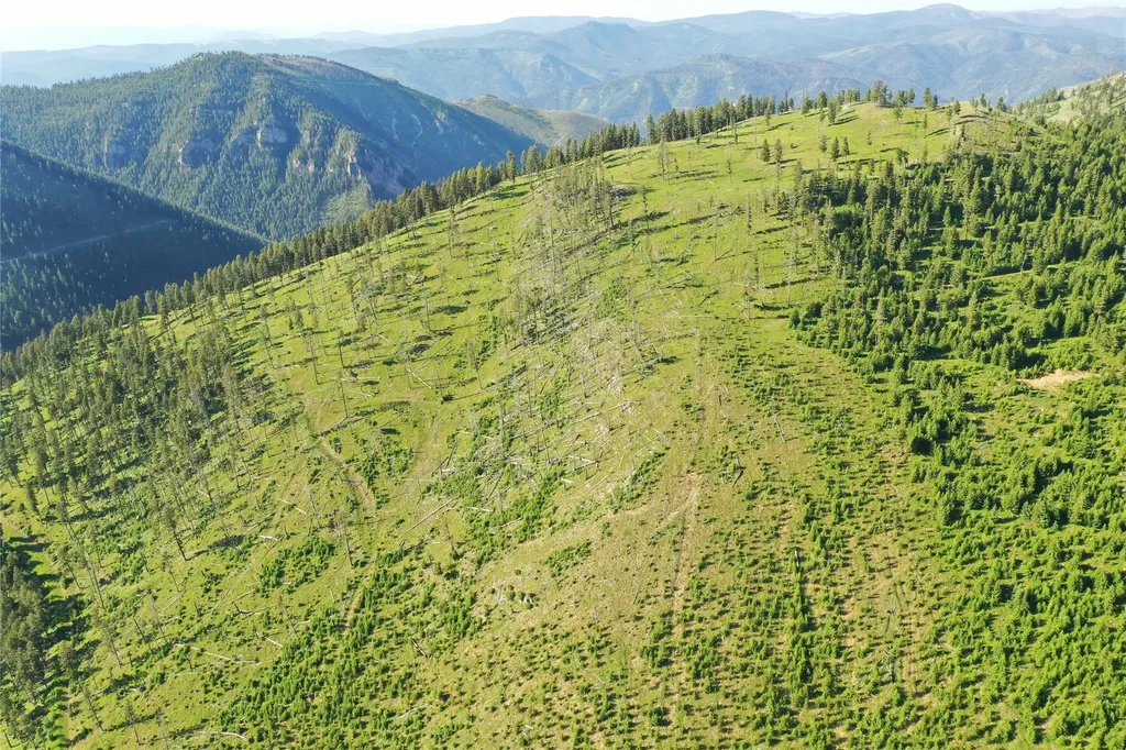 2 Tract, Garnet Range Drummond MT 59825