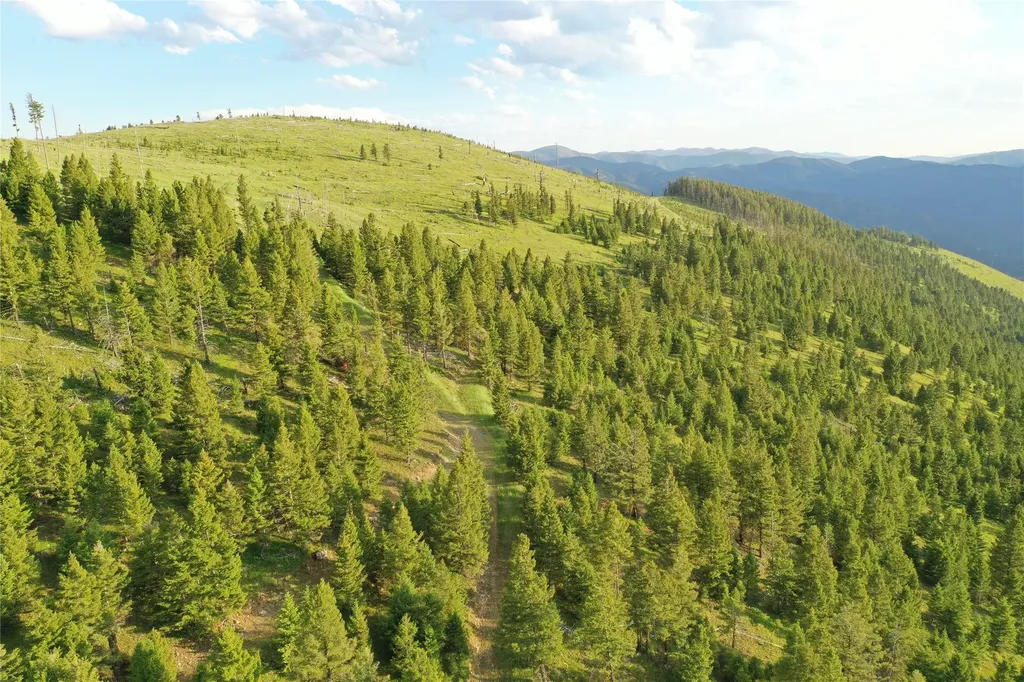 1 Tract Garnet Range Drummond MT 59832