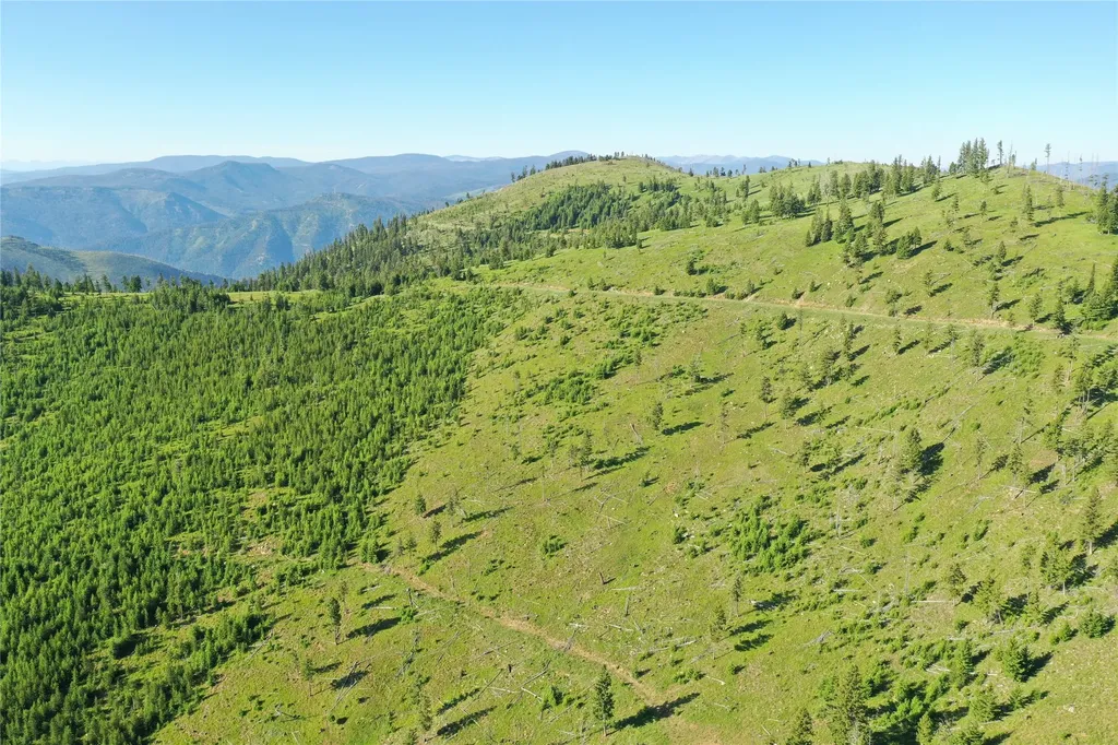 1 Tract Garnet Range Drummond MT 59832
