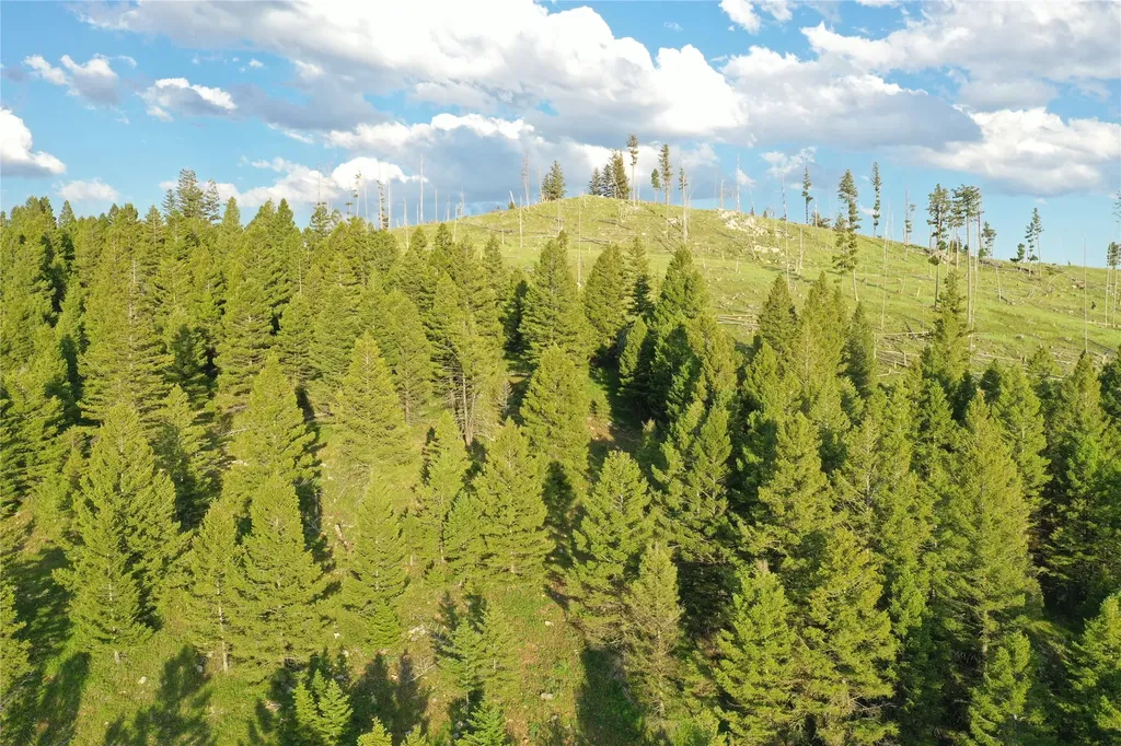 1 Tract Garnet Range Drummond MT 59832