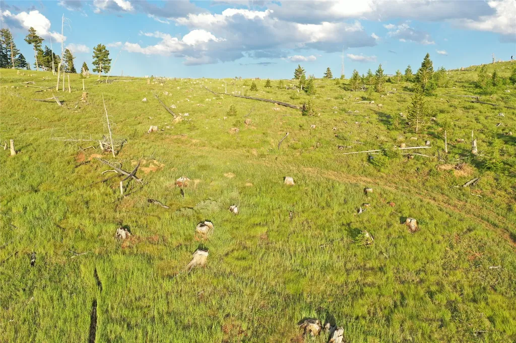 1 Tract Garnet Range Drummond MT 59832
