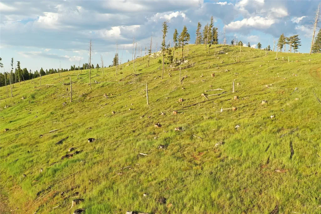 1 Tract Garnet Range Drummond MT 59832
